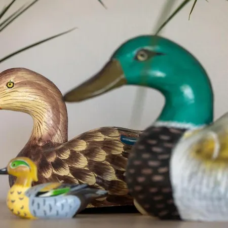 Haus-schoene-aussicht-wohnung-2-02-frische-brise Lejlighed *