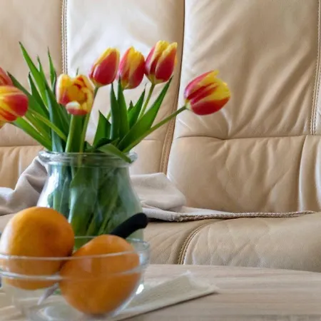 Haus-schoene-aussicht-wohnung-2-02-frische-brise Lejlighed